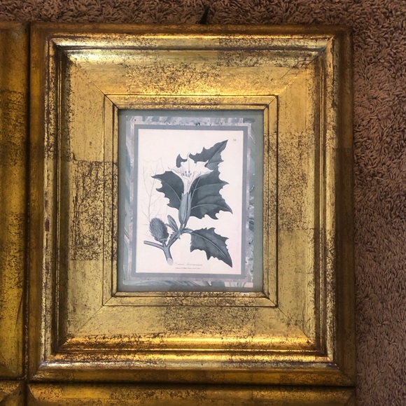 Pictures - Picture 5 of 5